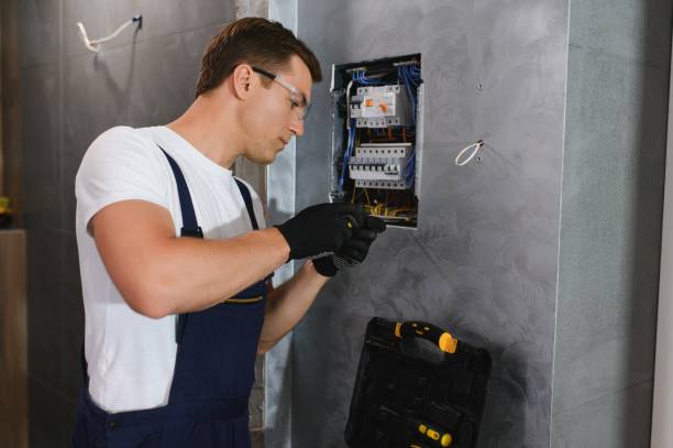 Best Electrical Rewiring Services  in Despard, WV