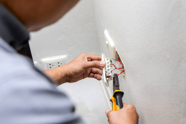 Best Electrical Upgrades for Homes  in Despard, WV